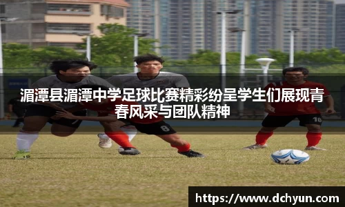 冰球突破豪华版手机版