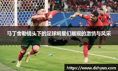 马丁舍勒镜头下的足球明星们展现的激情与风采